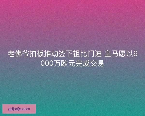 老佛爷拍板推动签下祖比门迪 皇马愿以6000万欧元完成交易