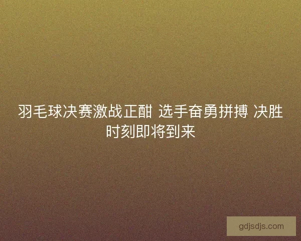 羽毛球决赛激战正酣 选手奋勇拼搏 决胜时刻即将到来